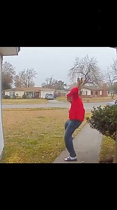 2M views · 63K reactions | Why did he do that?!!?! ️ #Squirrel #Funny #Fail #CaughtOnCamera #CCTV #WildAnimal | The Pet Collective | Facebook