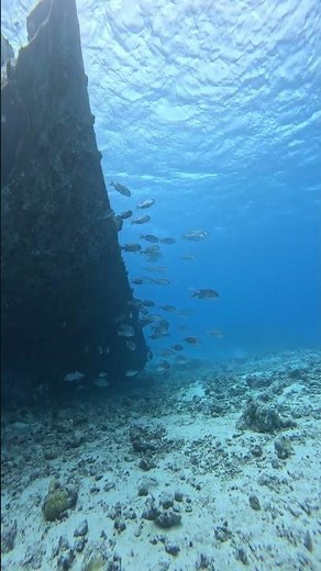 The Deep Sea Horror in 4K 120FPS | Scariest Ocean Creatures & Dark Water Mystery 🌊👁️