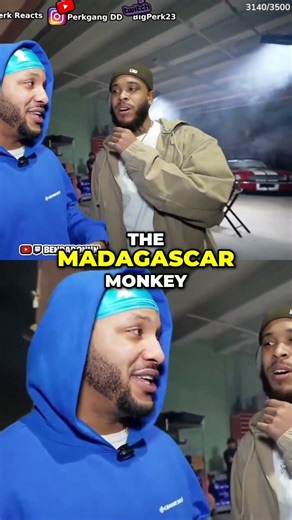 Insulted! We're confronting the Madagascar Monkey insults! #shorts