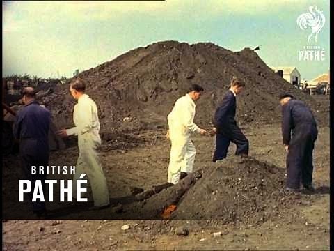 Tractor Bulldozer School (1956)