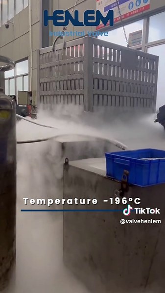 Cryogenic treatment, processing materials ❄️❄️❄️#ssz #cryogenictreatment #cryogenictechnology #valvefactory #valves #valvetechnology #valvemanufacturing #fyp
