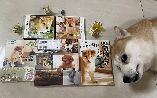 NDS 3DS任天狗NintenDogs柴犬卡带开箱