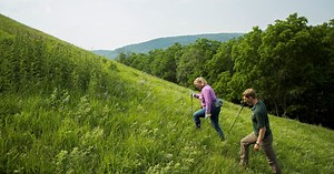 Nature Through the Seasons: What’s Happening in Minnesota