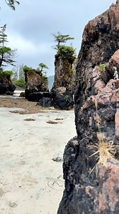 289K views · 2.3K reactions | Comment “GUIDE” for our Complete...