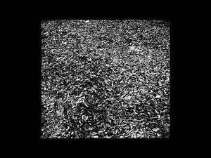 Flittering: Flittering [Full Album]