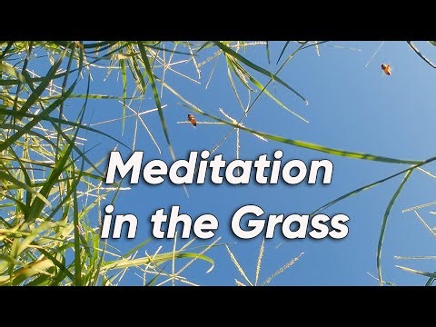 Blue Sky Meditation with Bees & Gentle Ambient Sounds