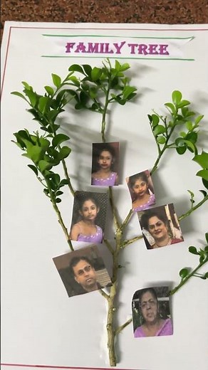 Family Tree with actual 🌲#familytree #family #familytreedrawing #familychart #diy #craft #tree
