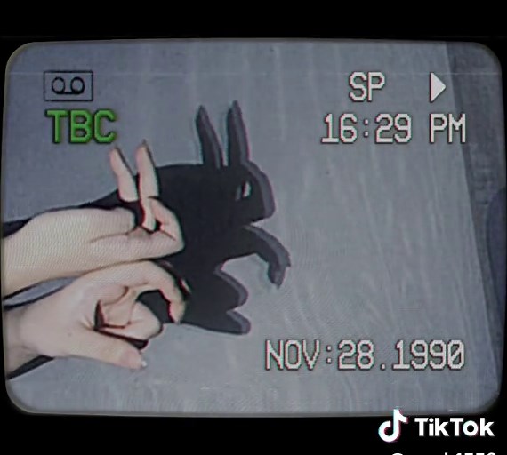 Rabbit and Wolf Trend: The Cutest Moments