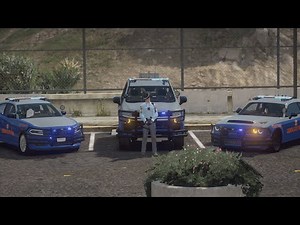 Moosey Mod's | Georgia State Patrol Vehicle Livery Package