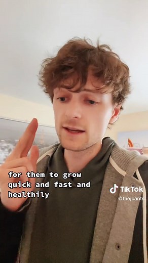 Feeding Protein Jelly to Ants 🐜 - Ant Colony Growth Experiment