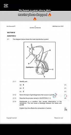 Grade 10 Life Sciences Past Question Paper Guide