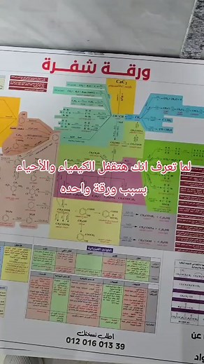فرق بين DNA و RNA: تحليل مقارن وجدول PDF