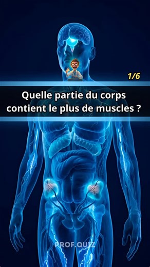 Prof Quiz on Instagram: "Quiz Anatomie : Records & Particularités du Corps Humain ! 🧬🌸 Teste tes connaissances sur les caractéristiques exceptionnelles de l’anatomie humaine ! 💪 Os les plus longs, organes les plus gros, muscles les plus nombreux, structures les plus petites… Découvre les records et singularités qui font de notre corps une merveille ! 6 questions fascinantes sur le corps humain. Prêt à être surpris ? 🚀🔬 #Quiz #Anatomie #CorpsHumain #RecordsAnatomiques #ProfQuiz #Particularit
