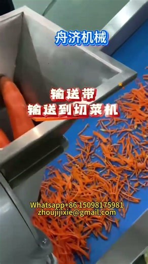 #Carrot processing assembly line #Cut the carrots into shreds and diced pieces