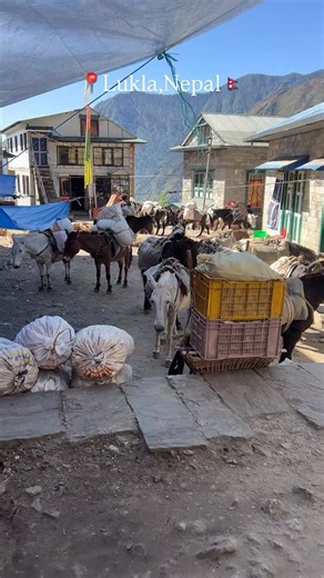 ✨ Lukla, Nepal – The Gateway to the Himalayas! 🏔️🇳🇵 ✨ Welcome to Lukla, one of the most breathtaking mountain towns in the world — perched high in the Khumbu region of Nepal, where every step feels like an adventure! 🌄 Known as the “Gateway to Mount Everest”, Lukla is where most Everest Base Camp treks begin. The thrilling Lukla Airport (Tenzing-Hillary Airport) ✈️ — often called the world’s most dangerous airport — offers jaw-dropping views and an adrenaline rush like no other! ⚡ From the m