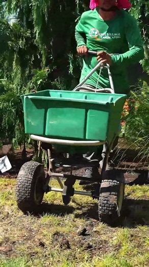 Lawn Restoration | Aeration, Seed & Fertilizer Process