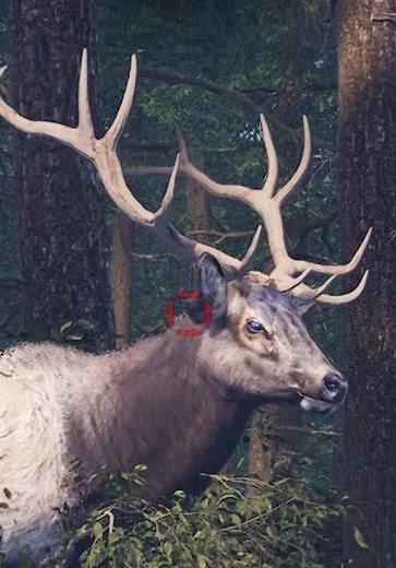 ¿ESTE NUEVO JUEGO DE CAZA LO CAMBIARÁ TODO?🦌🤔(información jugosa)😱| Way of the Hunter 2 🍃 #viral #mobilegaming #fyp #thehunter #gaming