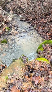 Wonder how our maple operation is going? Get a quick look at sap collection in this video! Come one, come all! Our annual Tree Tapper Festival is coming and is open to everyone! Taste our homegrown maple syrup with pancakes made by our alumni, browse all things maple, split wood learn more about the maple syrup making process here at Camp Ken-Jockety. Have fun, and connect with the community! Mark your calendars for March 23 and 24 at Camp Ken-Jockety. Register by March 17: gsoh.org/maple Camp K