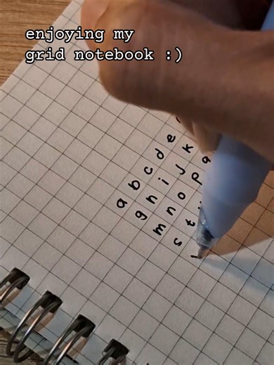 Stylish Grid Notebook Inspiration