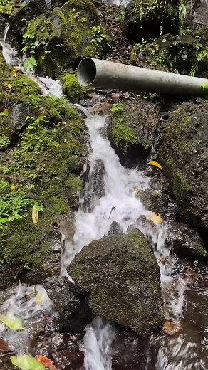The shrine waterfall 📍Sassé Buea Cameroon🇨🇲 Leave a comment for the whole journey and story… La cascade du sanctuaire 📍Sassé Buea Cameroun🇨🇲 Laissez un commentaire pour découvrir l’intégralité du voyage et son histoire… #travelcameroon #tourismcameroon #travel #cameroon #waterfall | Travelcameroon