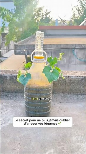 💧 DIY automatic watering system with a simple plastic bottle 🌱 (easy garden hack)