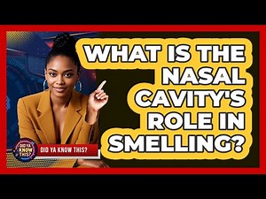 What Is The Nasal Cavity's Role In Smelling?