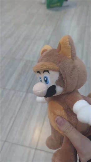 I buy a tanooki Mario plushy.