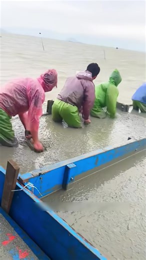 Wussten Sie, dass dieses Material, das wie Beton aussieht, in Wirklichkeit lebende Organismen sind? #Meereszucht #InteressanteMeerestechnik