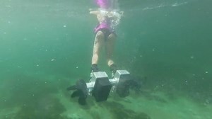 To license this content please click here: https://www.jukinmedia.com/licensing/view/1205026-3?utm_source=RMsocialpost&utm_medium=RMsocialpost | Jukin Copyright Management | Facebook