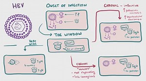 6.4K views · 100 reactions | Viral hepatitis (A, B, C, D, E) - causes, symptoms, diagnosis, treatment, pathology | Manual of Medicine | Facebook
