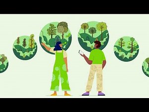 Introducing FSC Risk Assessments