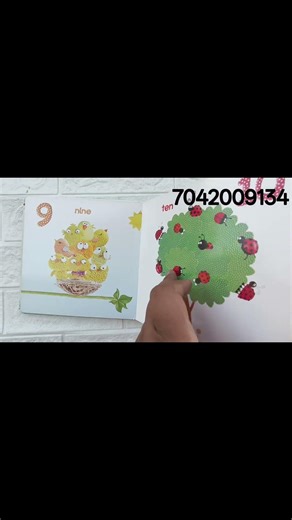 1234 Counting Boardbook