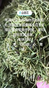 药食同源#中药材山银花#滋补养生 #纯天然绿色食品 #刷到的朋友开心快乐每一天