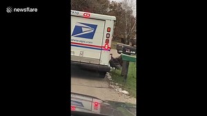 Hilarious moment angry turkey chases down Wisconsin postal worker