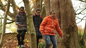 Different types of leaves