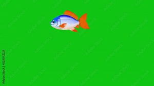 A cartoon fish swims repeatedly on a green screen or chroma key background