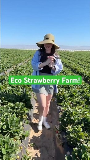 Tour a Strawberry Farm With Me!
