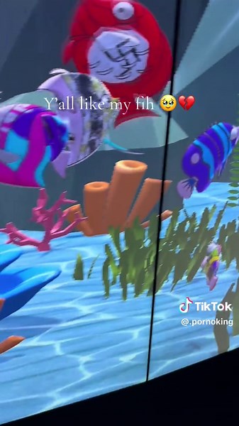 Funny Fish Moments That Will Make You Smile