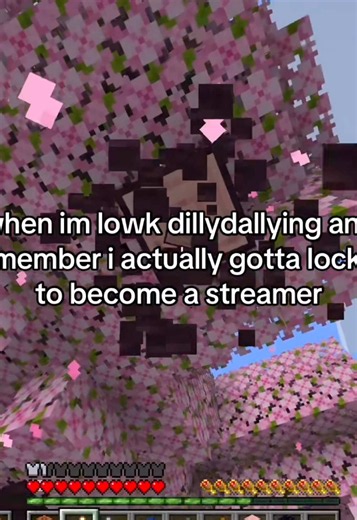 hi guys.. I lik Minecraft #minecraftstreamer #minecraft #smallmcyt #lifesteal #strengthsmp