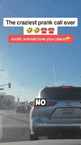 86K views · 1.3K reactions | Animals love your place  prank call  #prankcall #pranks #prankvideo #hilarious #jokes | Phone Prank calls | Facebook