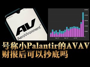 无人机届的Palantir财报后大跌要抄底进场吗？AeroVironment第二季度财报全解析