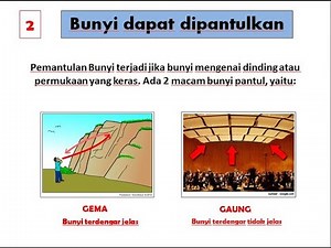 Sifat Pemantulan dan Penyerapan Bunyi - Materi IPA Kelas IV