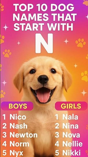Top 10 Dog Names That Start with N | Cute & Unique Puppy Names 2025