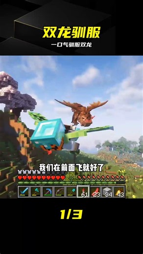 馴龍之路（31）：一口氣馴服兩條龍，可惜沒有鞍#我的世界##游戲##游戲日常# #驯龙，双龙，鞍，生存，游戏实录