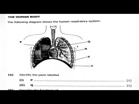 G9 integrated science external 2025