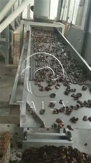 Cashew Shell Kernel Separator | Cashew Nut Shelling Plant