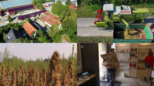 Der Anbau von Quinoa vor den Toren Münchens München sucht neues Bauland - auch in Ludwigsfeld, wo die Grünwalds ihre Felder bewirtschaften. Der unsicheren Zukunft begegnet die Familie mit Kreativität, und der "Münchner Bauerngenossenschaft". Die kann den Städtern jetzt auch etwas Überraschendes aus regionalem Anbau bieten. Autorinnen: Susanne Ilse und Iris Tsakiridis Münchner Bauerngenossenschaft https://muenchner-bauern.de/ https://www.facebook.com/muenchnerbauern/ https://www.instagram.com/mue