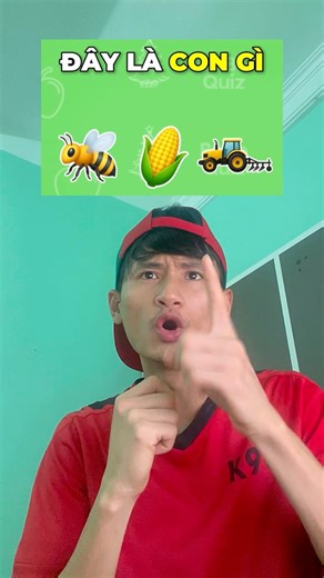 Đoán tên động vật #duoihinhbatchu #thửthách #videoshort