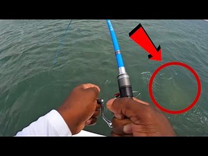 Man Catches Big Fish