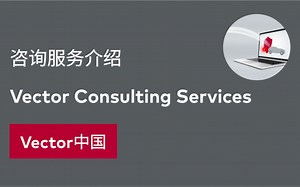 【Vector中国】咨询服务介绍
